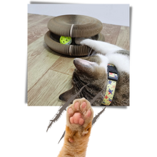 Carica l'immagine nel visualizzatore di Gallery, Tiragraffi per gatti - Ozerty