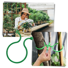 Carica l'immagine nel visualizzatore di Gallery, Confezione di fermi per piante da giardino - Ozerty