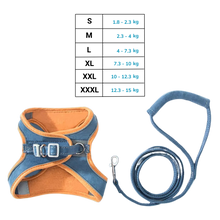 Carica l'immagine nel visualizzatore di Gallery, Set imbracatura e guinzaglio per animali - Ozerty