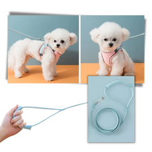 Carica l'immagine nel visualizzatore di Gallery, Set imbracatura e guinzaglio per animali