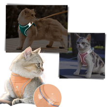 Carica l'immagine nel visualizzatore di Gallery, Set imbracatura e guinzaglio per animali - Ozerty