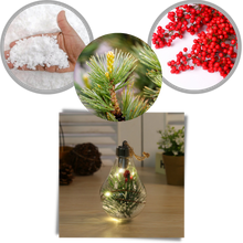 Carica l'immagine nel visualizzatore di Gallery, Lampadina a sfera di Natale trasparente a LED - Ozerty