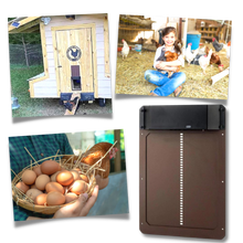 Carica l'immagine nel visualizzatore di Gallery, Porta automatica per pollaio - Ozerty