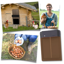 Carica l'immagine nel visualizzatore di Gallery, Porta automatica per pollaio - Ozerty