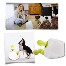 Carica l'immagine nel visualizzatore di Gallery, Lanciatore automatico di palline per cani - Ozerty
