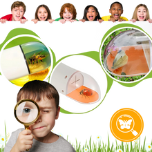 Carica l'immagine nel visualizzatore di Gallery, Trappola per insetti con visione HD - Ozerty