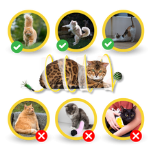 Carica l'immagine nel visualizzatore di Gallery, Tunnel interattivo compatto per gatti - Ozerty