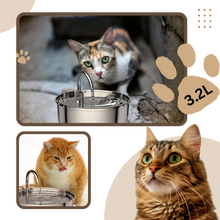 Carica l'immagine nel visualizzatore di Gallery, Fontana per gatti di grande capacità - Ozerty