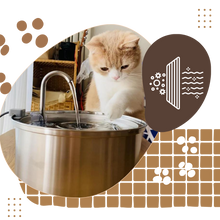Carica l'immagine nel visualizzatore di Gallery, Fontana per gatti di grande capacità - Ozerty