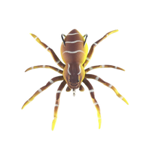 Carica l'immagine nel visualizzatore di Gallery, Esche ragno a movimento naturale -Marrone - Ozerty