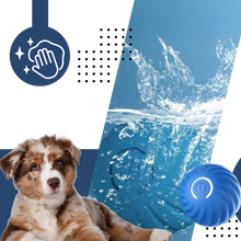 Carica l'immagine nel visualizzatore di Gallery, Palla intelligente anti-ostacoli per cani - Ozerty