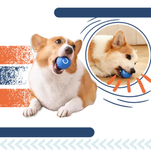 Carica l'immagine nel visualizzatore di Gallery, Palla intelligente anti-ostacoli per cani - Ozerty