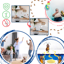 Carica l'immagine nel visualizzatore di Gallery, Trappole per scarafaggi inodore - Ozerty