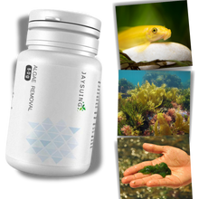 Carica l'immagine nel visualizzatore di Gallery, Alghicida preventivo per acquari - Ozerty