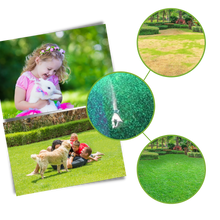 Carica l'immagine nel visualizzatore di Gallery, Spray rivitalizzante per l'erba del prato - Ozerty