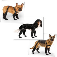 Carica l'immagine nel visualizzatore di Gallery, Stivali con bretelle impermeabili per cani - Ozerty