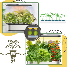 Carica l&#39;immagine nel visualizzatore di Gallery, Giardino Idroponico con 12 Capsule per Piante - Ozerty

