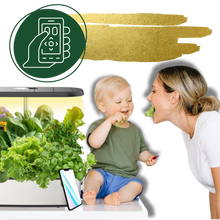 Carica l&#39;immagine nel visualizzatore di Gallery, Giardino Idroponico con 12 Capsule per Piante - Ozerty
