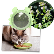 Carica l&#39;immagine nel visualizzatore di Gallery, Giocattolo rotante a forma di palla di menta per gatti - Ozerty
