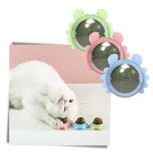 Carica l&#39;immagine nel visualizzatore di Gallery, Giocattolo rotante a forma di palla di menta per gatti - Ozerty
