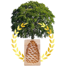 Carica l&#39;immagine nel visualizzatore di Gallery, Stampo tagliabiscotti in legno - Ozerty
