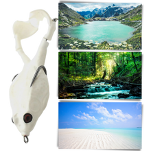 Carica l&#39;immagine nel visualizzatore di Gallery, Esca da pesca a rana in silicone
