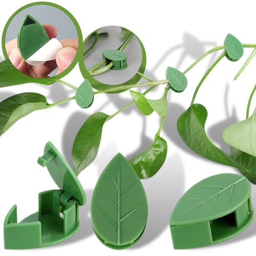 Confezione da 20 clip adesive a forma di foglia per piante rampicanti - Ozerty