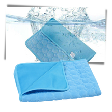 Carica l&#39;immagine nel visualizzatore di Gallery, Tappetino di raffreddamento per animali domestici - Ozerty
