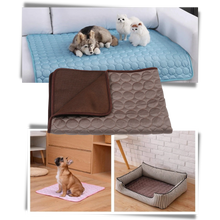 Carica l&#39;immagine nel visualizzatore di Gallery, Tappetino di raffreddamento per animali domestici
