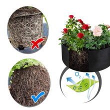 Carica l&#39;immagine nel visualizzatore di Gallery, Vaso da vivaio in feltro rialzato per piante - Ozerty
