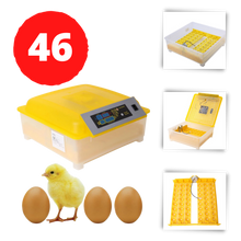 Carica l&#39;immagine nel visualizzatore di Gallery, Incubatrice automatica da 48 uova - Ozayti
