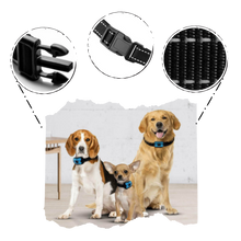 Carica l&#39;immagine nel visualizzatore di Gallery, Collare per cani anti abbaio - Ozerty

