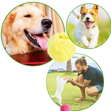 Carica l&#39;immagine nel visualizzatore di Gallery, Palla mobile automatica per cani con coperture intercambiabili - Ozerty
