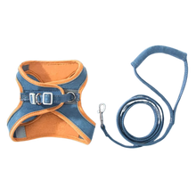 Carica l&#39;immagine nel visualizzatore di Gallery, Set imbracatura e guinzaglio per animali - Ozerty
