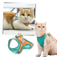 Carica l&#39;immagine nel visualizzatore di Gallery, Set imbracatura e guinzaglio per animali - Ozerty

