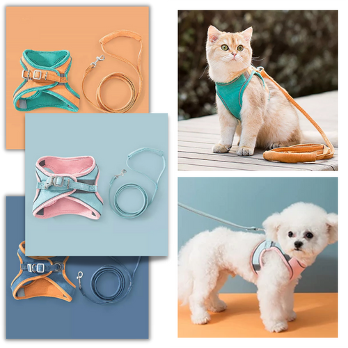 Set imbracatura e guinzaglio per animali - Ozerty