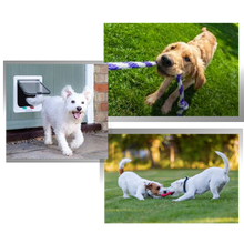 Carica l&#39;immagine nel visualizzatore di Gallery, Gattaiola - Ozerty
