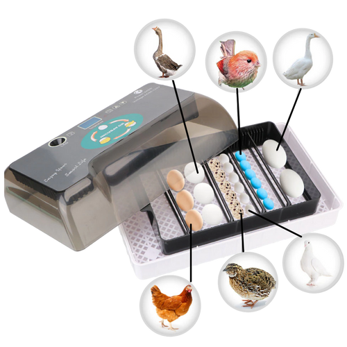 Incubatrice automatica digitale per uova - Ozayti