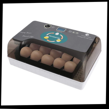 Carica l&#39;immagine nel visualizzatore di Gallery, Incubatrice automatica digitale per uova - Ozayti

