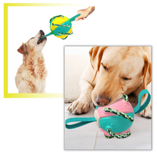 Carica l&#39;immagine nel visualizzatore di Gallery, Giocattolo per cani palla frisbee - Ozerty
