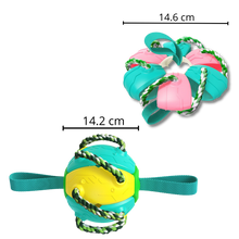 Carica l&#39;immagine nel visualizzatore di Gallery, Giocattolo per cani palla frisbee - Ozerty
