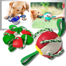 Carica l&#39;immagine nel visualizzatore di Gallery, Giocattolo per cani palla frisbee - Ozerty
