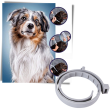 Carica l&#39;immagine nel visualizzatore di Gallery, Collare antipulci per animali domestici - Ozerty
