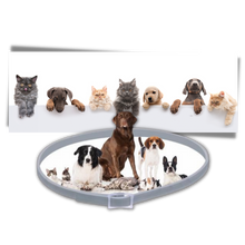 Carica l&#39;immagine nel visualizzatore di Gallery, Collare antipulci per animali domestici
