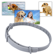 Carica l&#39;immagine nel visualizzatore di Gallery, Collare antipulci per animali domestici - Ozerty
