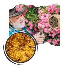 Carica l&#39;immagine nel visualizzatore di Gallery, Casa delle api in legno esagonale - Ozerty
