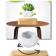 Carica l&#39;immagine nel visualizzatore di Gallery, Vaso per piante fluttuante - Ozerty
