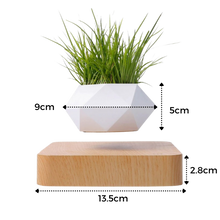 Carica l&#39;immagine nel visualizzatore di Gallery, Vaso per piante fluttuante - Ozerty
