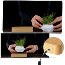 Carica l&#39;immagine nel visualizzatore di Gallery, Vaso per piante fluttuante - Ozerty
