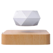 Carica l&#39;immagine nel visualizzatore di Gallery, Vaso per piante fluttuante - Ozerty
